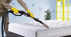 Mattress Cleaning