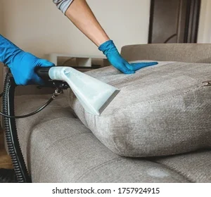 Sofa Cleaning